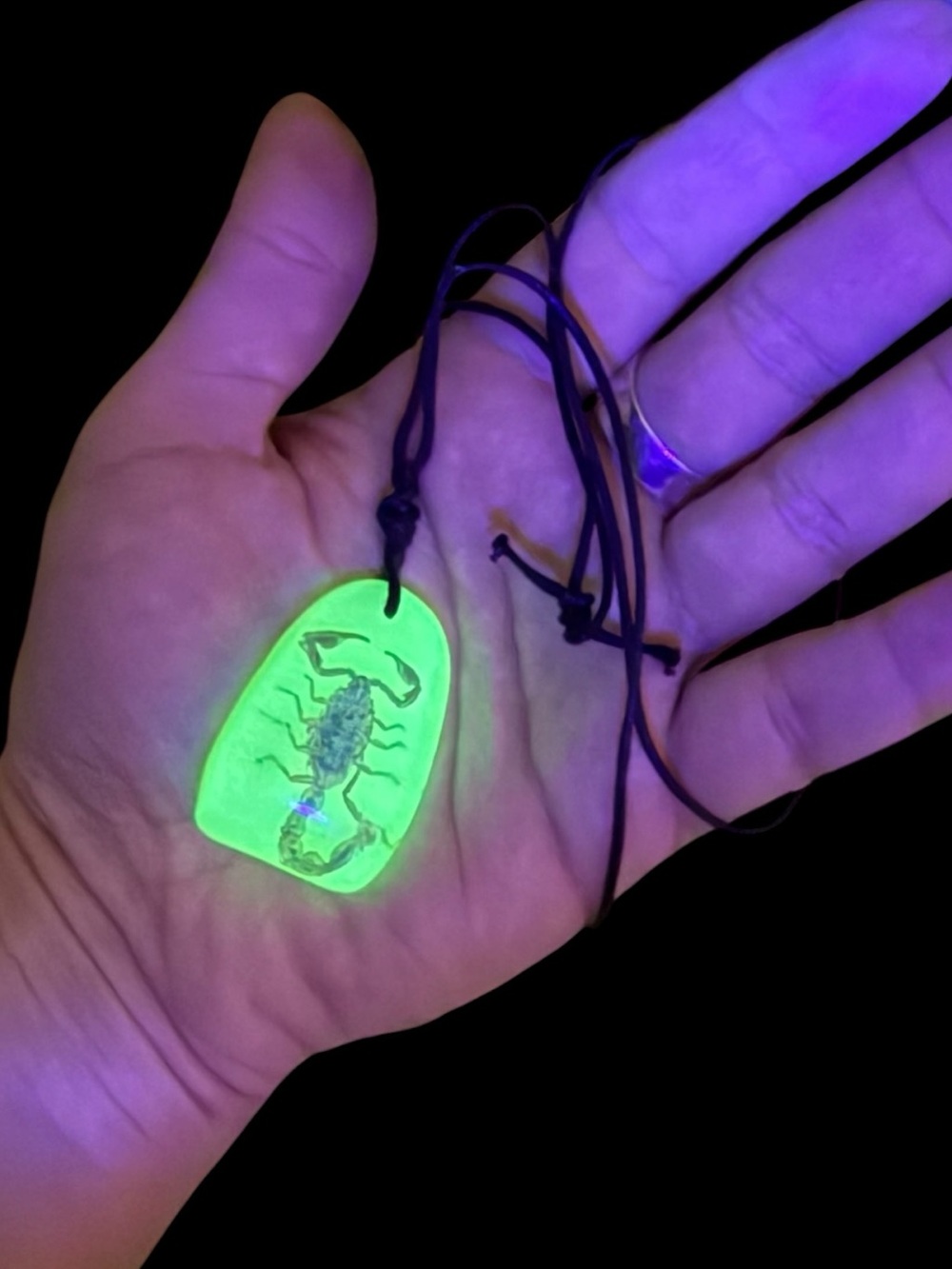 Glow in the Dark Real Scorpion Resin Pendant Necklace Adjustable Cord